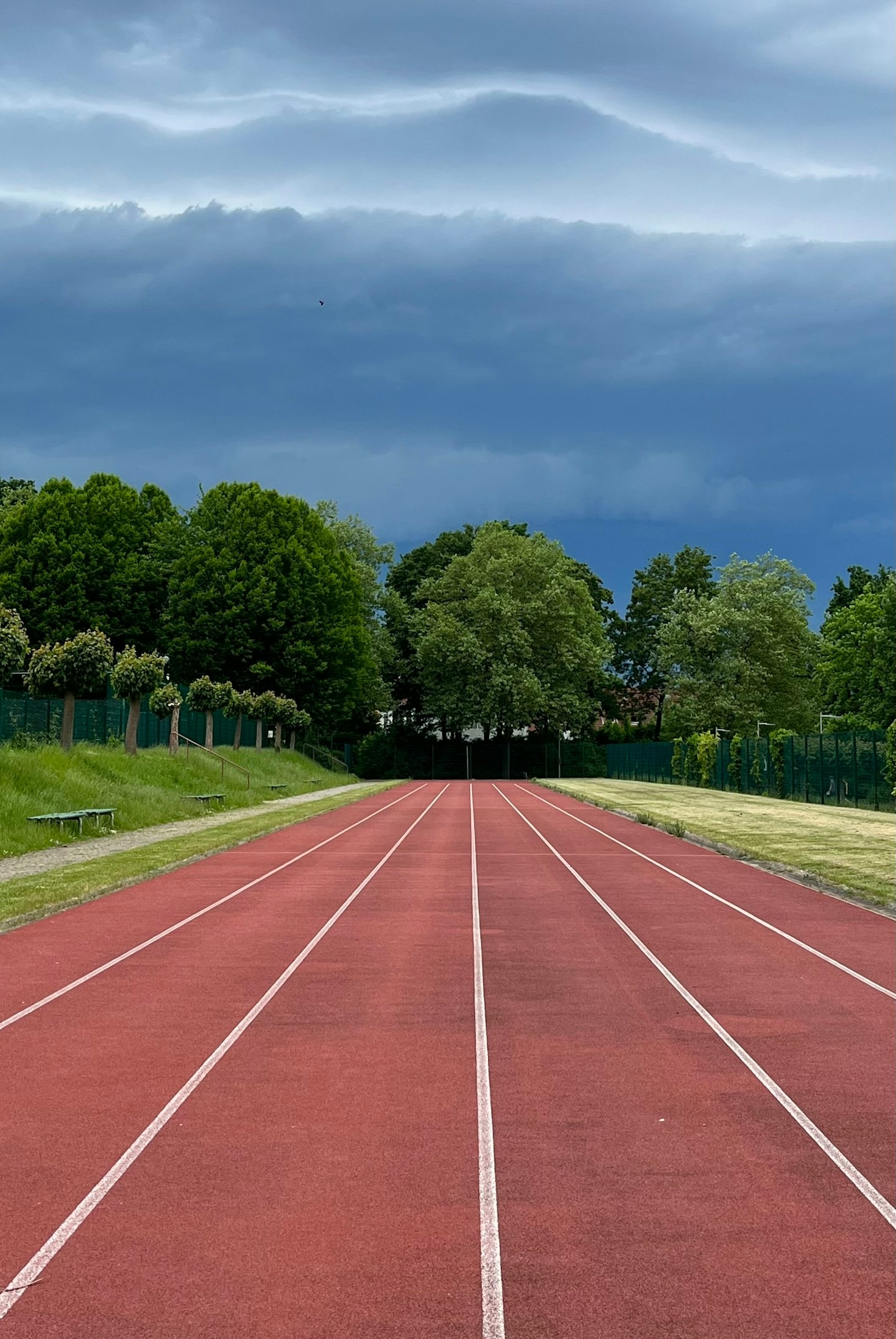 Why Team Thomas is a Leader in Track Athletics